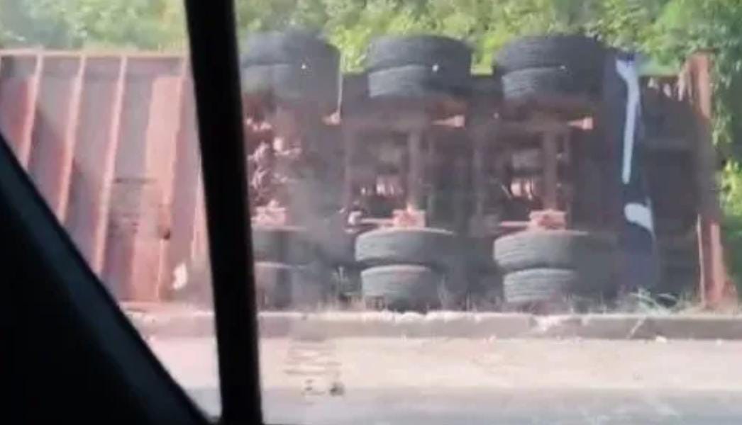Carreta com 90 cabeças de gado tomba na BR-230