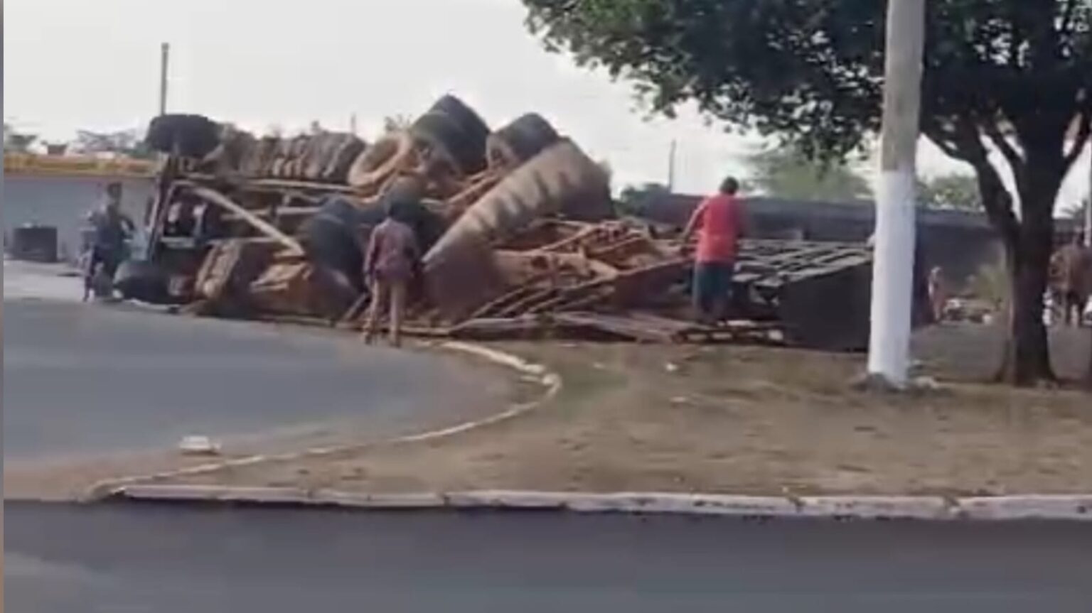 Caminhão carregado de gado tomba em rotatória e bois ficam soltos em Marabá