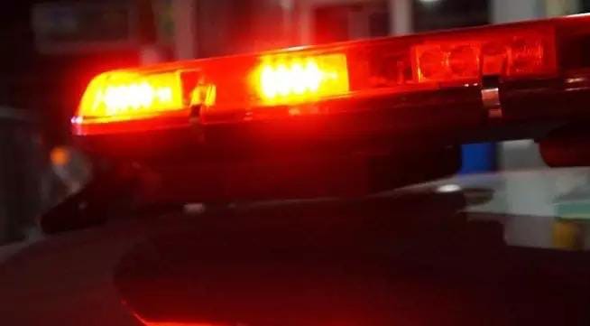 Polícia investiga furto de 50 vacas, no sudeste do Pará