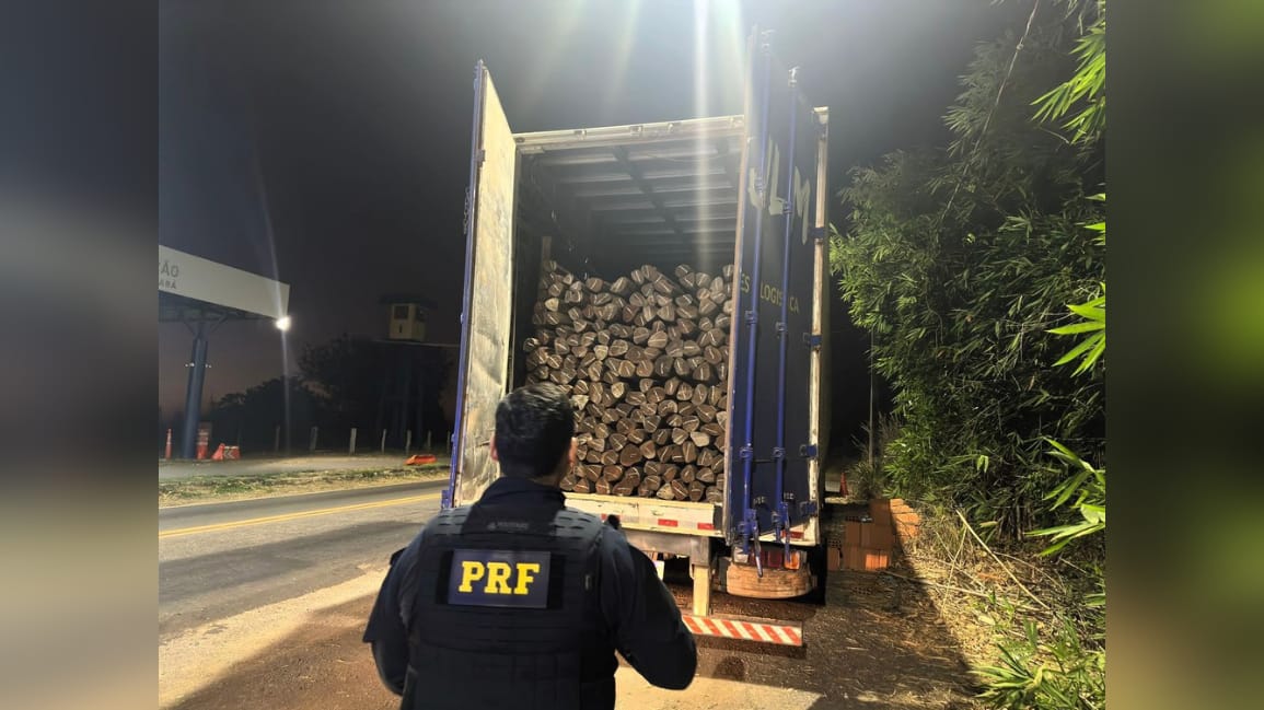 PRF apreende 80 m³ de Acapu, em Marabá