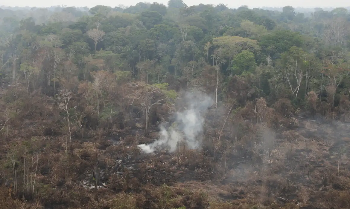 Pará decreta emergência e proíbe uso de fogo em pastagens
