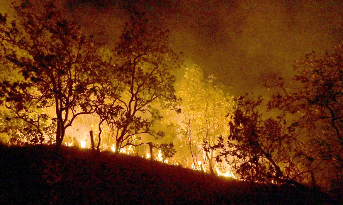 Incêndios: Governo vai concentrar ações no Pará, Rondônia e Amazonas