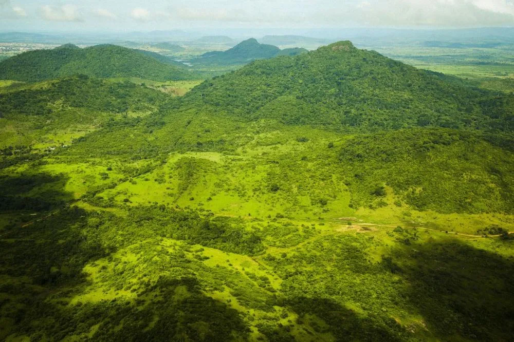 Pará registra redução de 42% em alertas de desmatamento em 1 ano