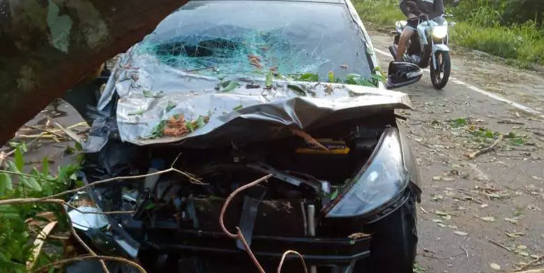 Árvore cai em cima de carro e deixa motorista ferido no Pará