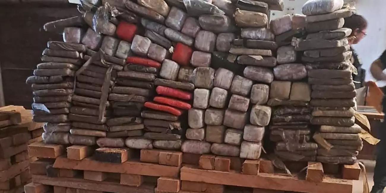 Polícia incinera meia tonelada de droga apreendida com casal no Pará
