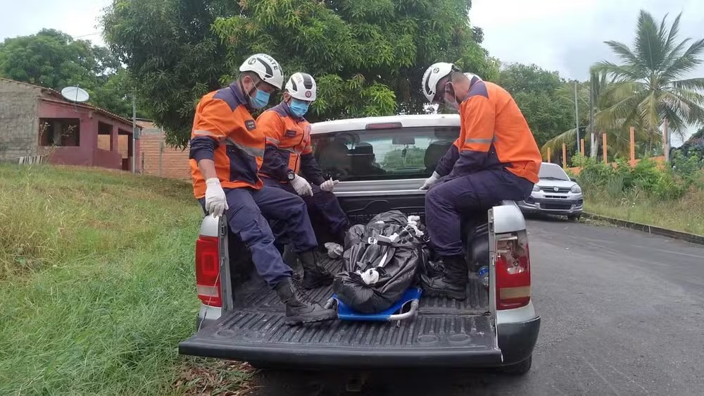 Corpo é encontrado em estado avançado de decomposição no oeste do Pará