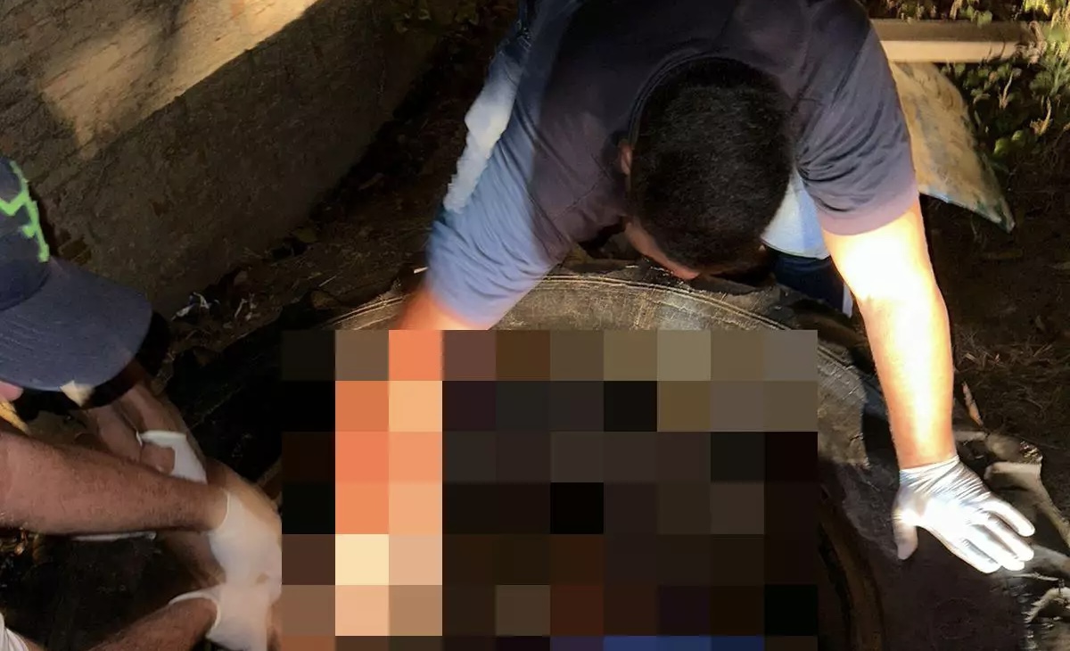 Corpo de mulher é encontrado com marcas de violência dentro de pneu de trator no Pará