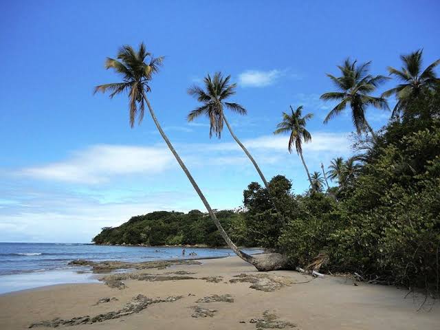 Ventania destrói barracas em praia no Pará
