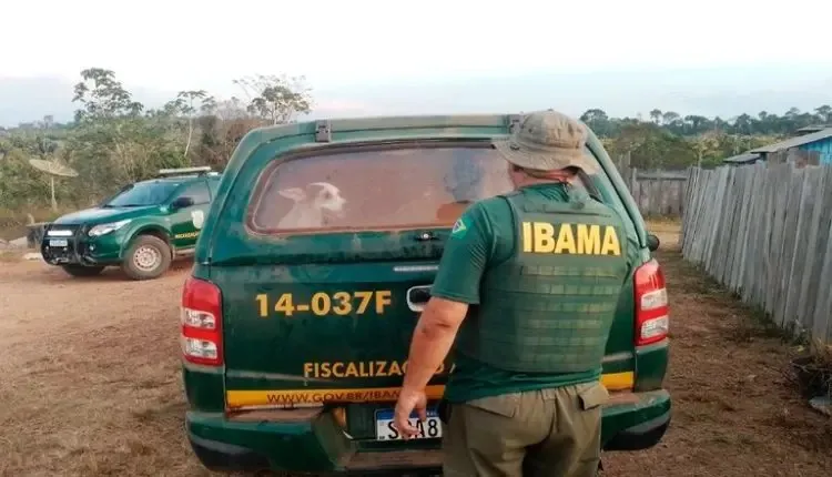 Ibama de Marabá resgata 92 animais domésticos abandonados em Terra Indígena