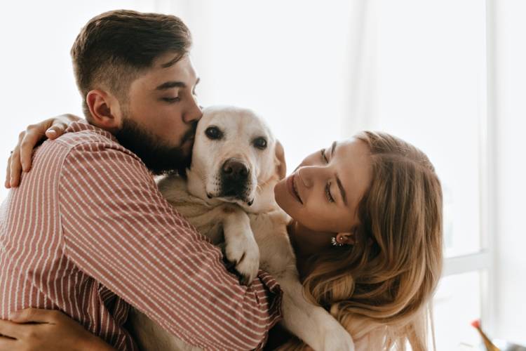 Pesquisa revela gastos médios de “pais e mães de pets” no Brasil