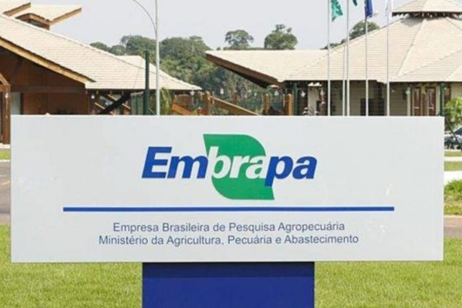 Embrapa deve divulgar edital de concurso público nos próximos dias