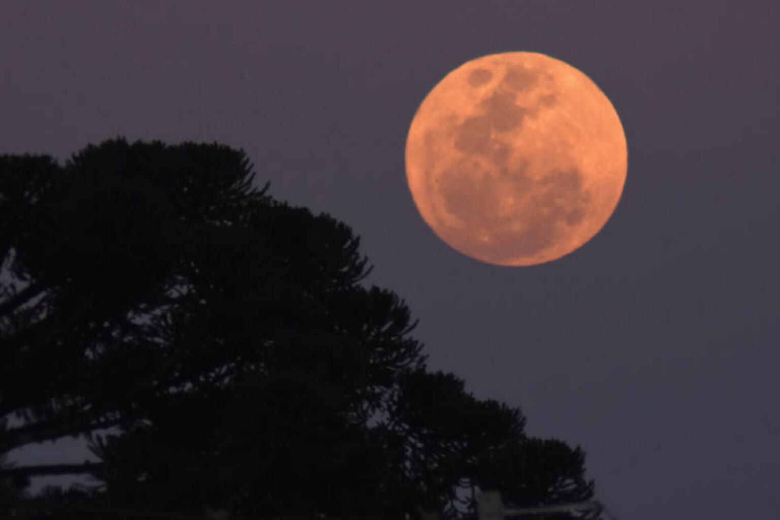 Superlua azul: saiba como observar fenômeno raro que acontece hoje (19)