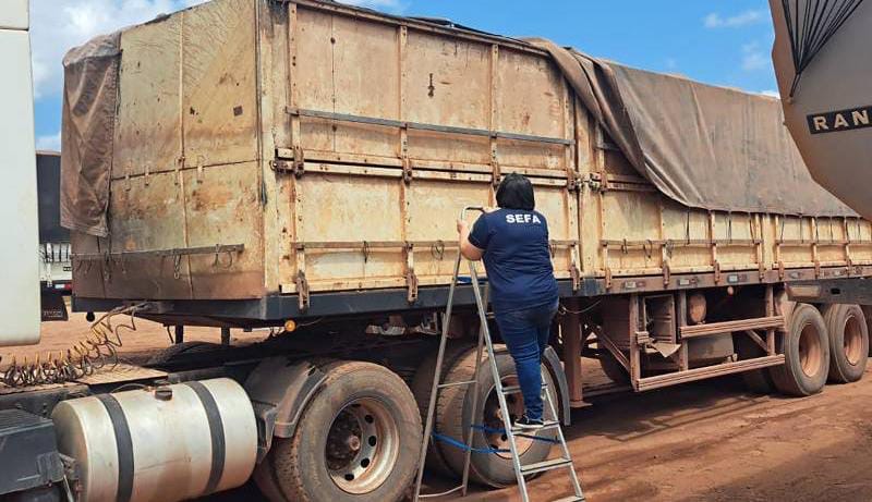 Sefa apreende quase 50 toneladas de gergelim em Marabá
