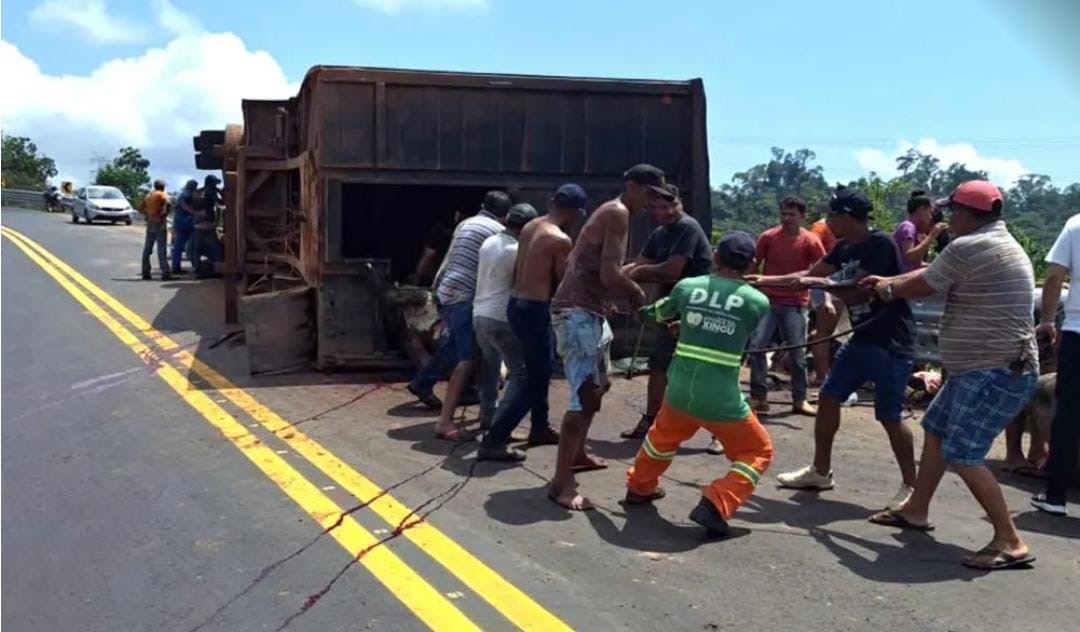 Carreta que transportava 100 cabeças de gado tomba na BR-230 no Pará