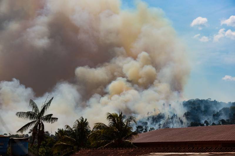 Pará lidera queimadas no Brasil em setembro com mais de 2 mil focos