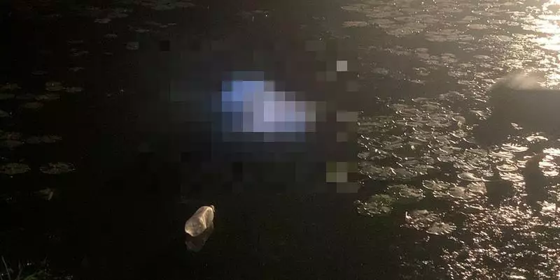 Filho encontra o corpo do próprio pai boiando em açude em Parauapebas