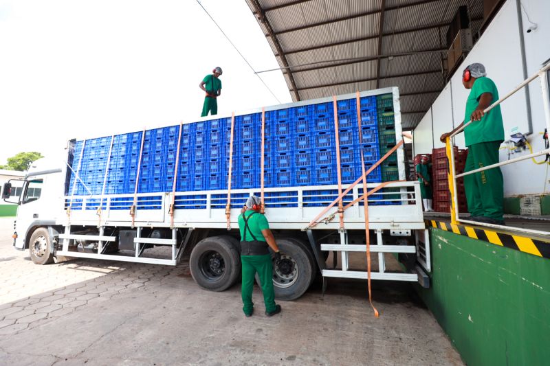 Pará exporta mais de 61 mil toneladas de açaí por ano