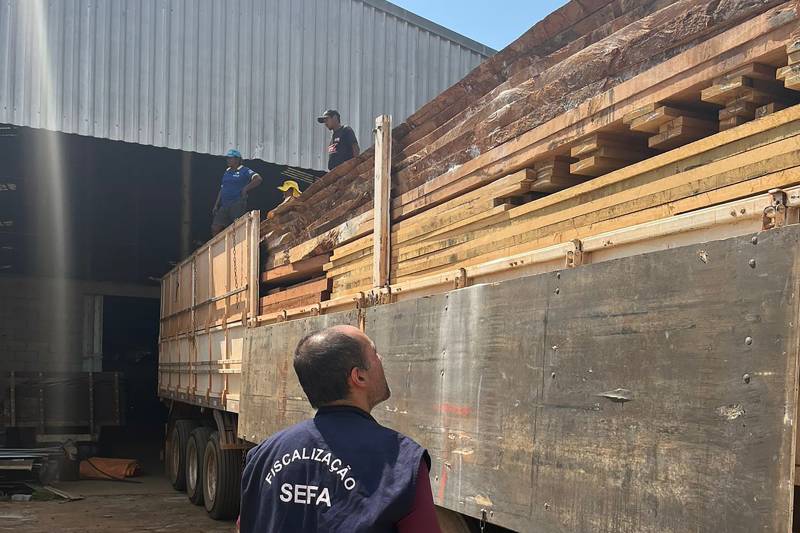 Sefa apreende 47 toneladas de madeira serrada em Conceição do Araguaia