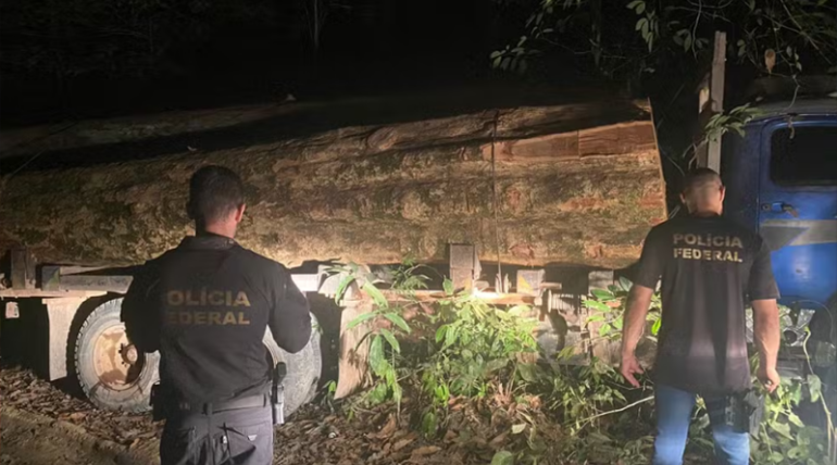 PF e Ibama destroem caminhões que transportavam madeira ilegal no Pará