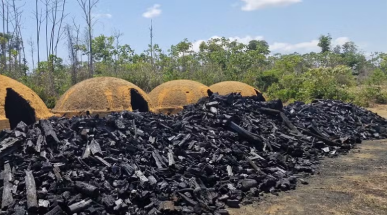 Trabalhadores do Maranhão são resgatados de situação análoga à escravidão no Pará