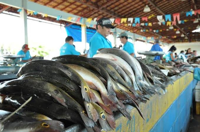Marabá é o quarto maior produtor de pescado do Pará