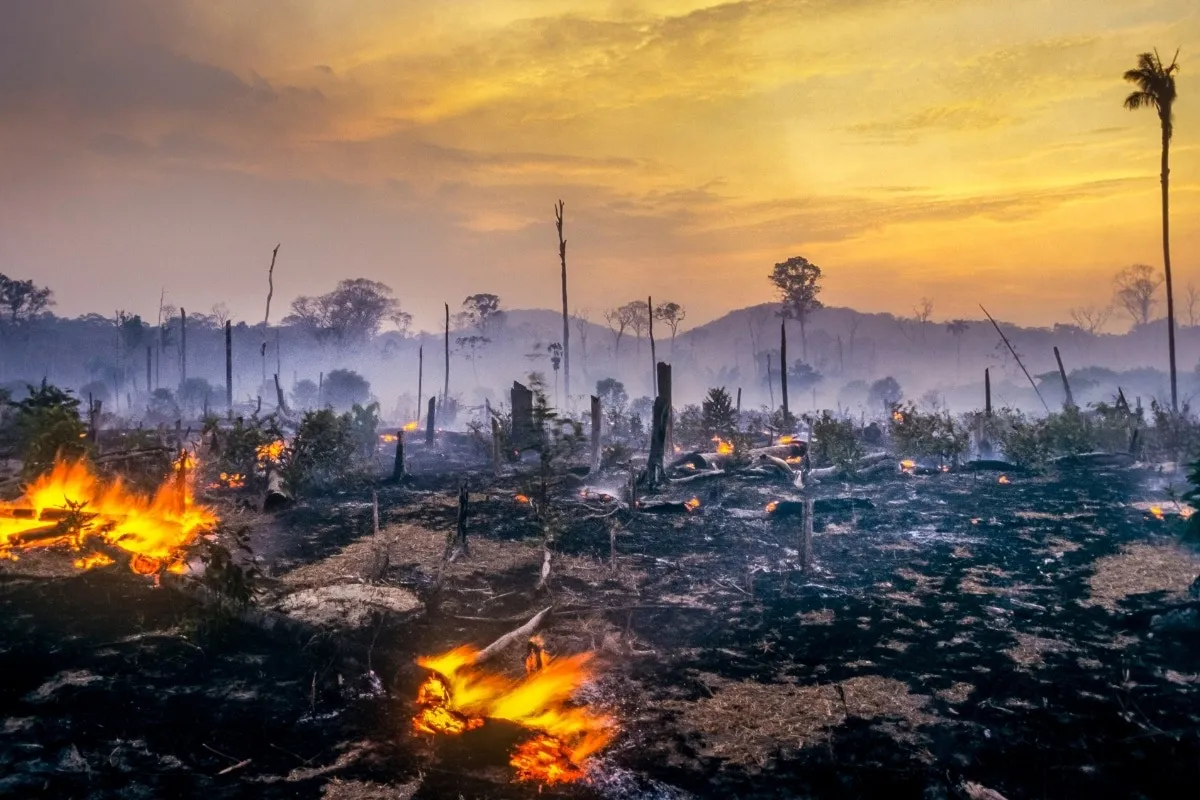 Incêndios põem Marabá e Parauapebas no top 10 do ranking de queimadas