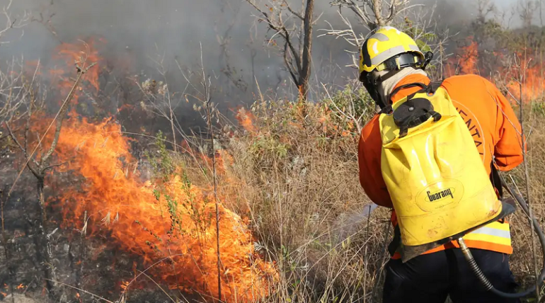 BNDES aprova R$ 45 milhões do Fundo Amazônia para corpo de bombeiros do Pará