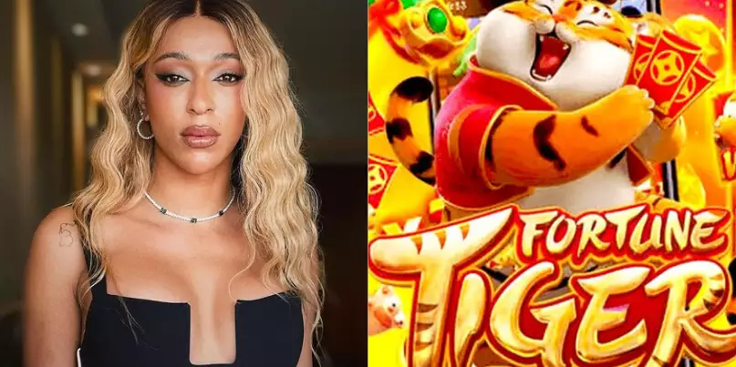 Deputada Erika Hilton pede bloqueio do ‘Jogo do Tigrinho’ no Brasil