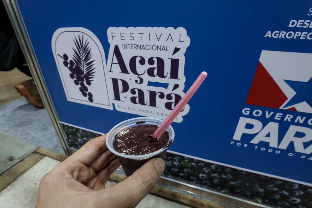 Pará fortalece investimentos na produção de açaí