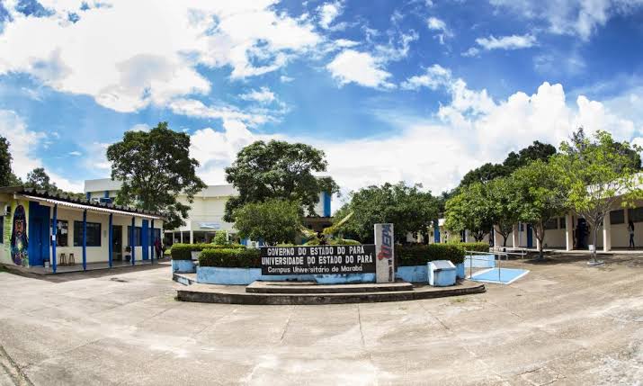 Uepa promove curso sobre fiscalização de madeira em Marabá