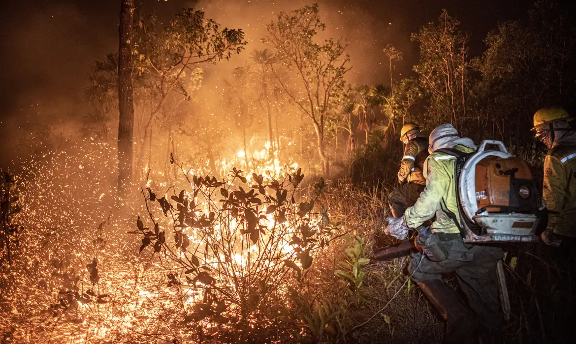 Ação humana é responsável por 99% dos incêndios florestais no Brasil