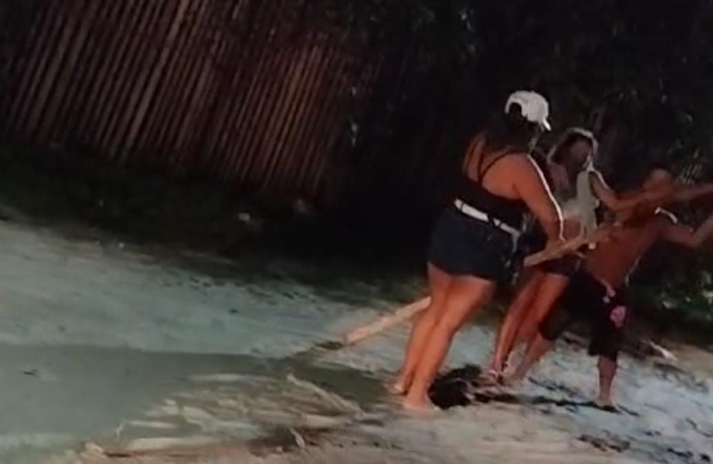 Homem é preso por quebrar madeira na cabeça de mulher no Pará