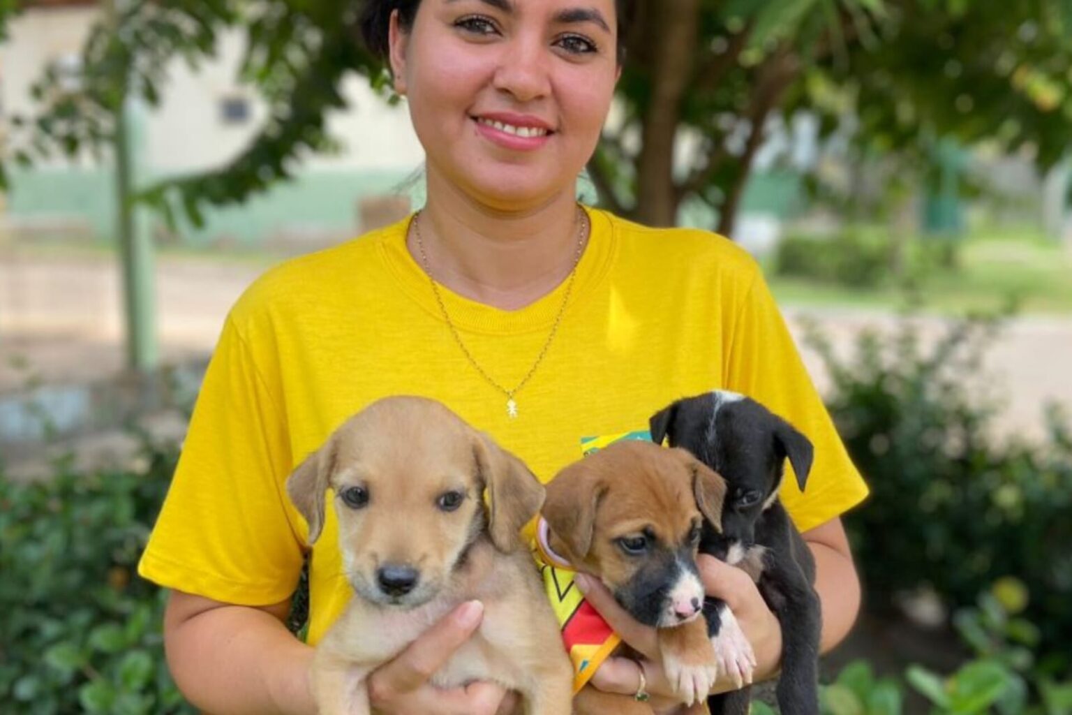 Centro de Zoonoses disponibiliza animais para adoção em Marabá