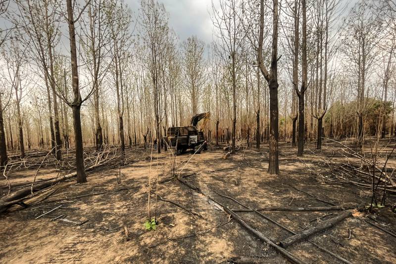 Polícia Civil investiga queimada de cerca de 8 mil hectares em fazenda no Pará