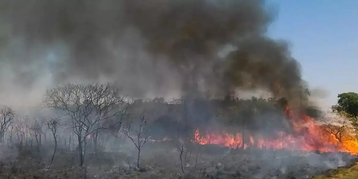 AGU cobra R$ 89 milhões de acusados de causar queimadas no Pará e Amazonas