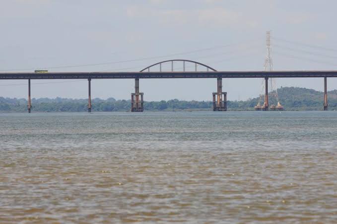 Marabá enfrenta ameaça de mexilhões dourados no Rio Tocantins