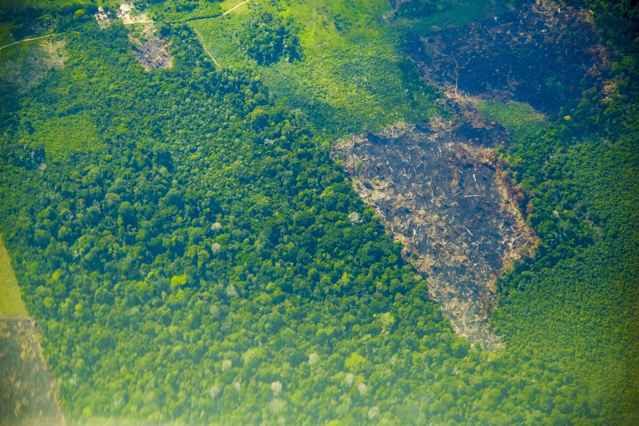 Pará tem redução de 37% nos alertas de desmatamento em setembro de 2024