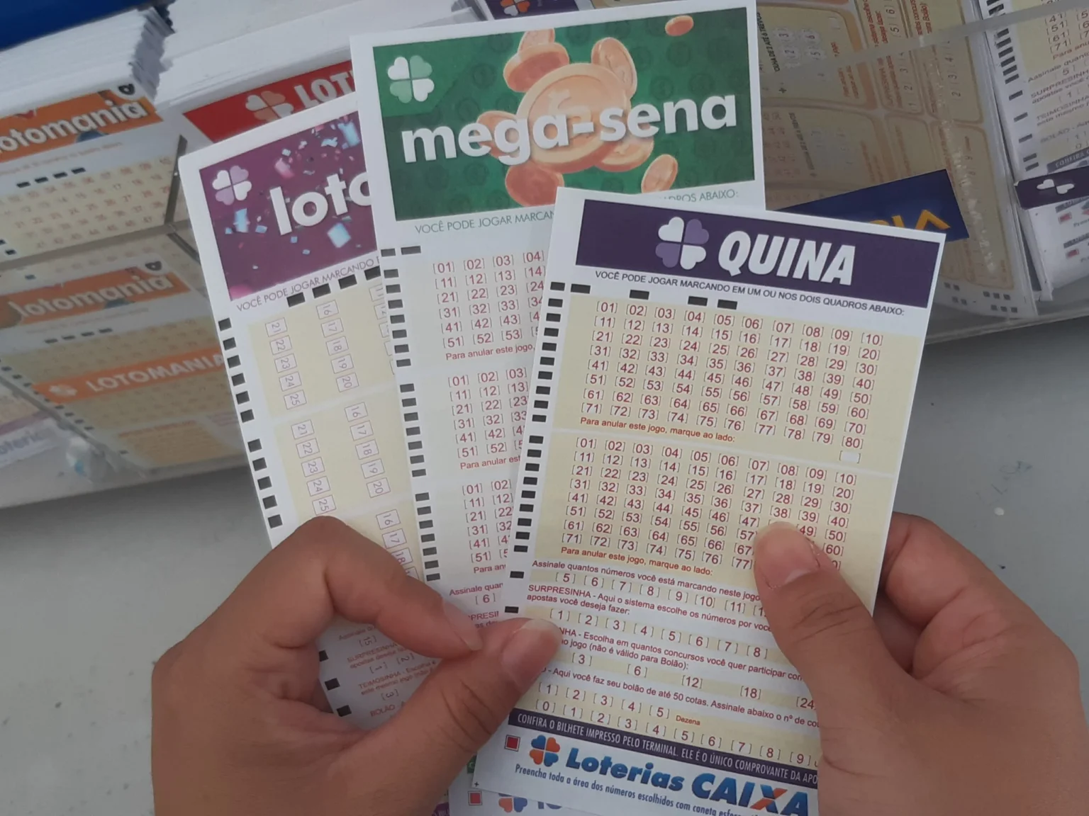Aposta do Pará ganha R$ 7,5 milhões na Quina; veja de onde é o novo milionário