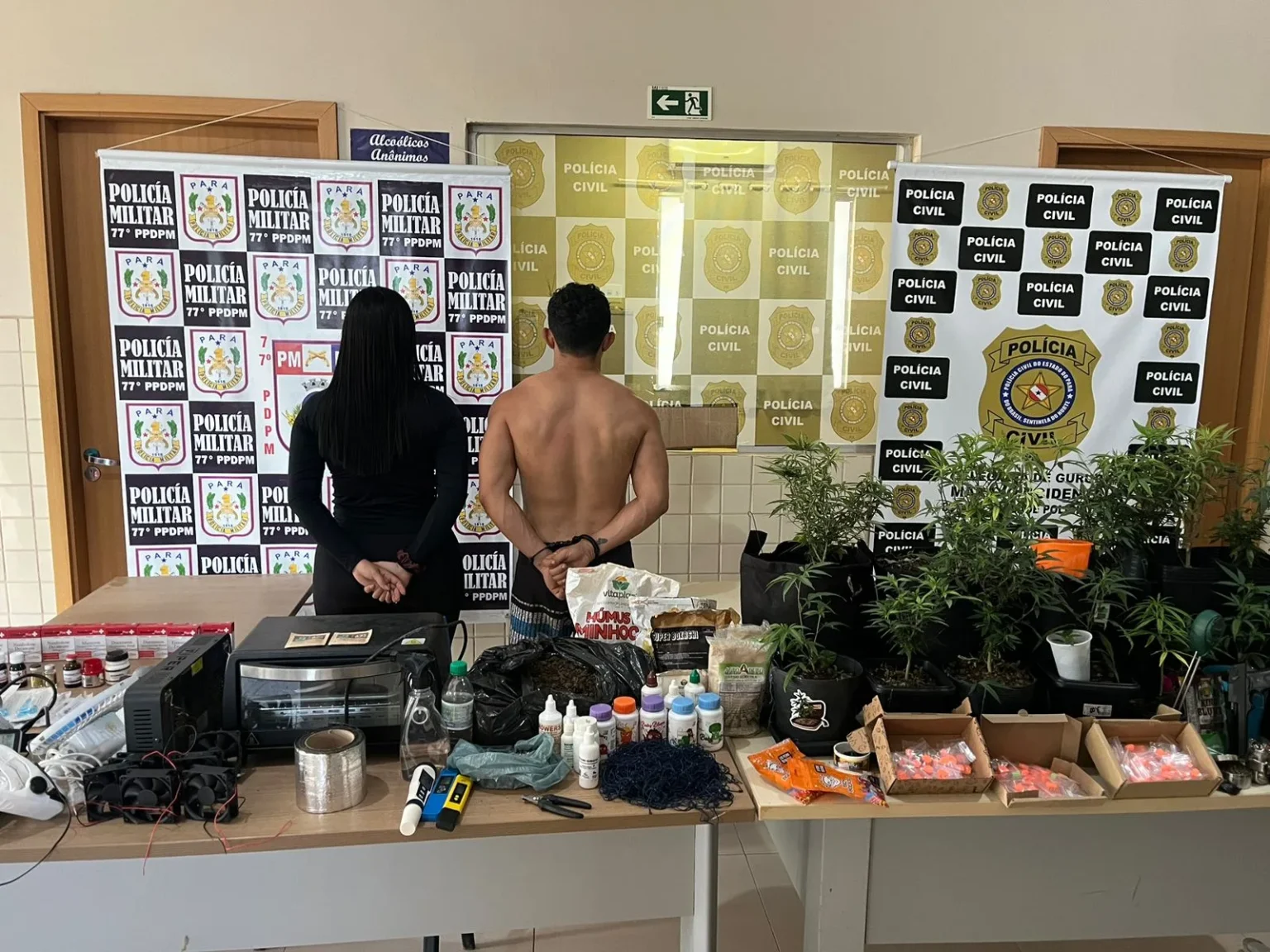 Casal mantinha laboratório de maconha para abastecer festa rave no Pará