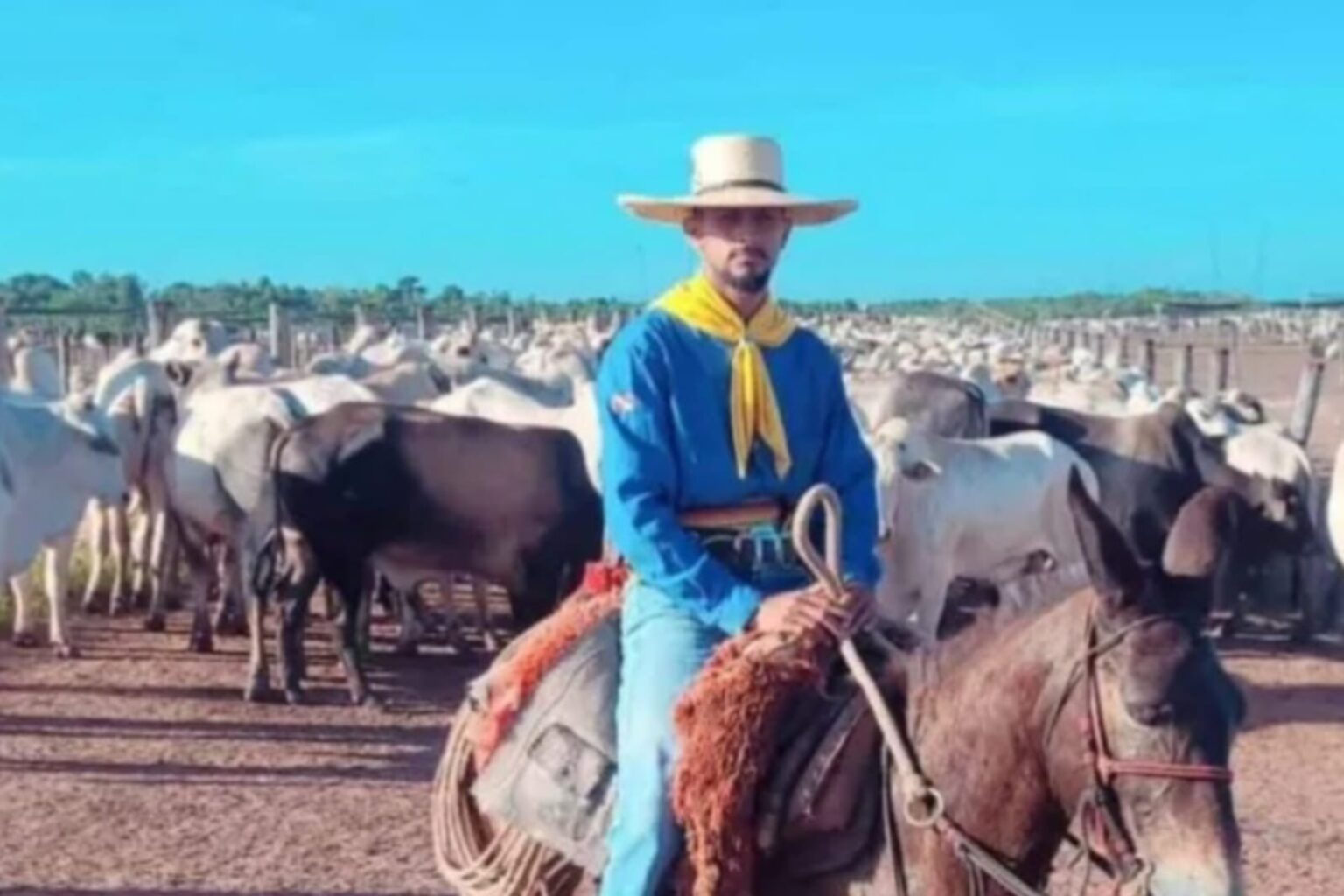 Homem montado a cavalo morre após ser atingido por carreta em Moju