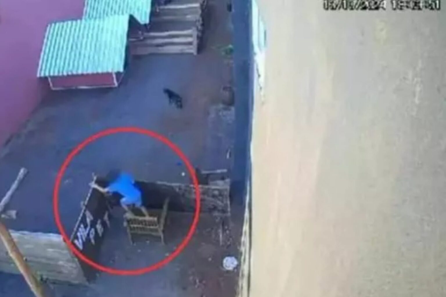 Menino de 9 anos invade hospital veterinário e mata 23 animais