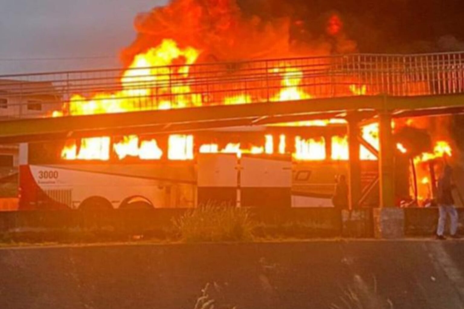 Briga entre torcidas do Cruzeiro e do Palmeiras deixa um morto e 20 feridos