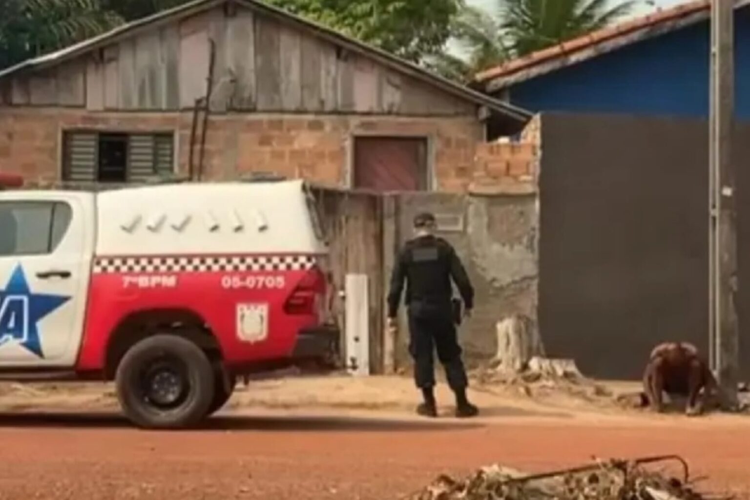 Mulher é denunciada por maus-tratos aos animais em Redenção