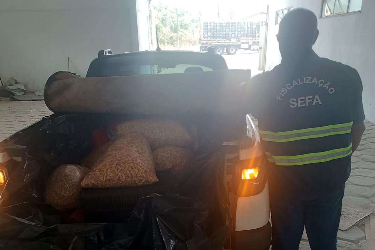 Sefa apreende 250 quilos de camarão no Pará
