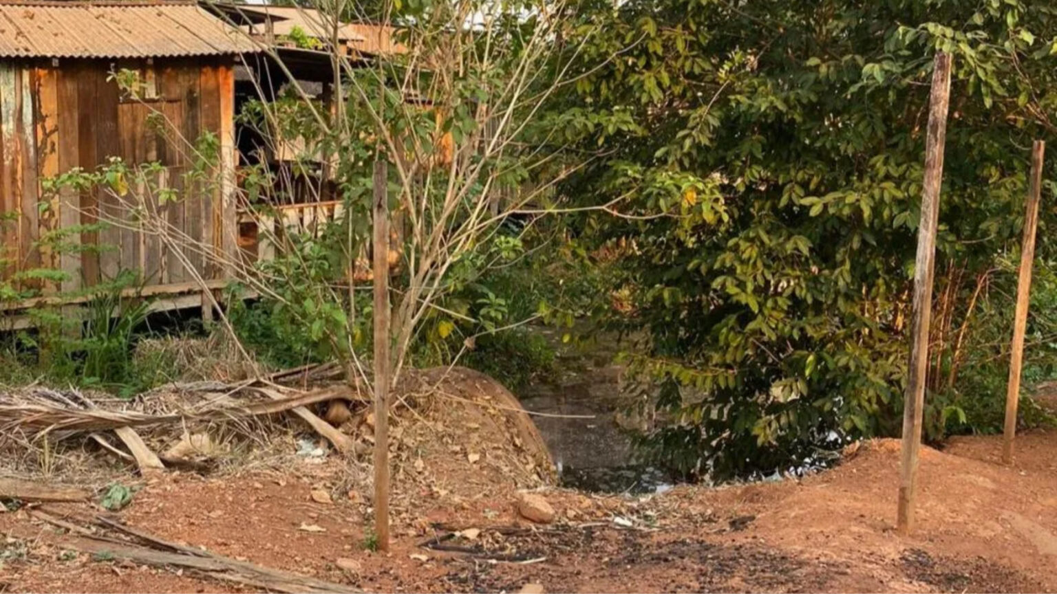 Corpo de homem é encontrado enrolado em rede no sudoeste do Pará