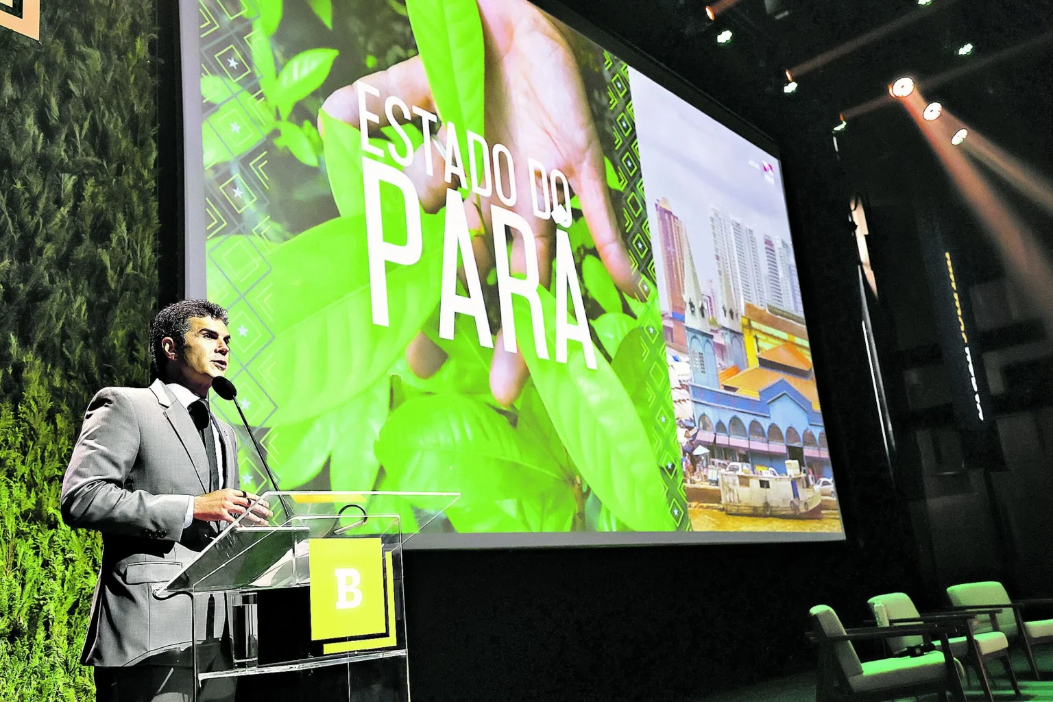 Créditos de carbono podem gerar R$ 35 bi ao Pará até 2026