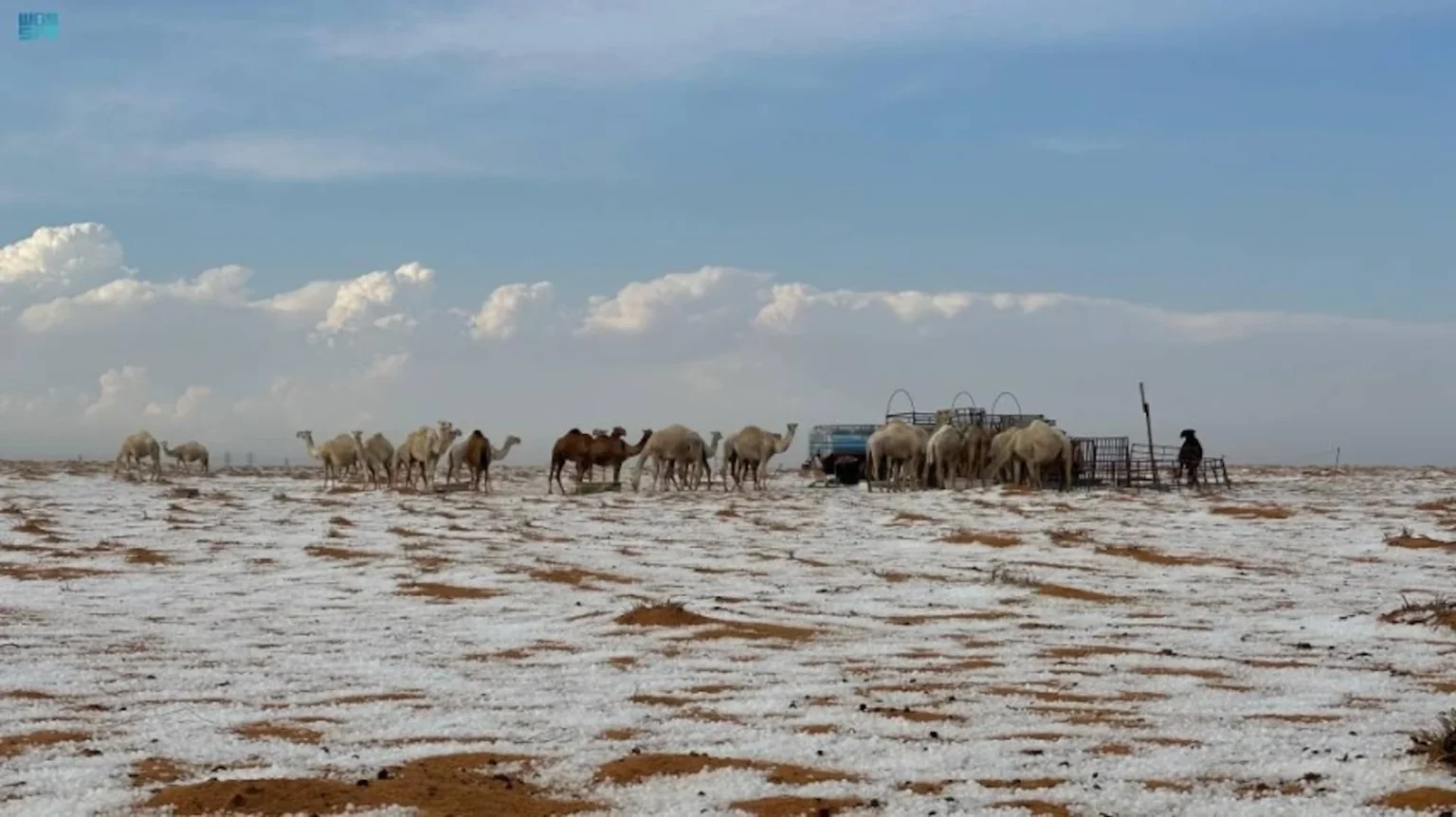 Deserto saudita fica coberto por neve pela 1ª vez na história