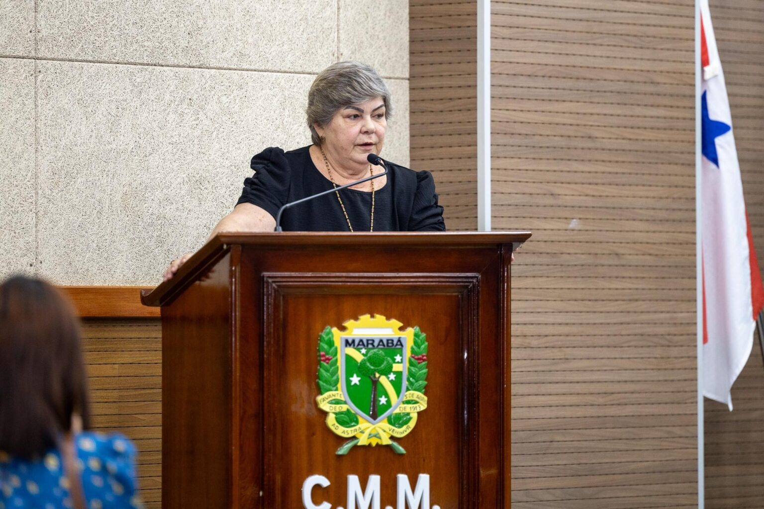 Câmara de Marabá debate futuro das emendas impositivas e apoio às entidades sociais