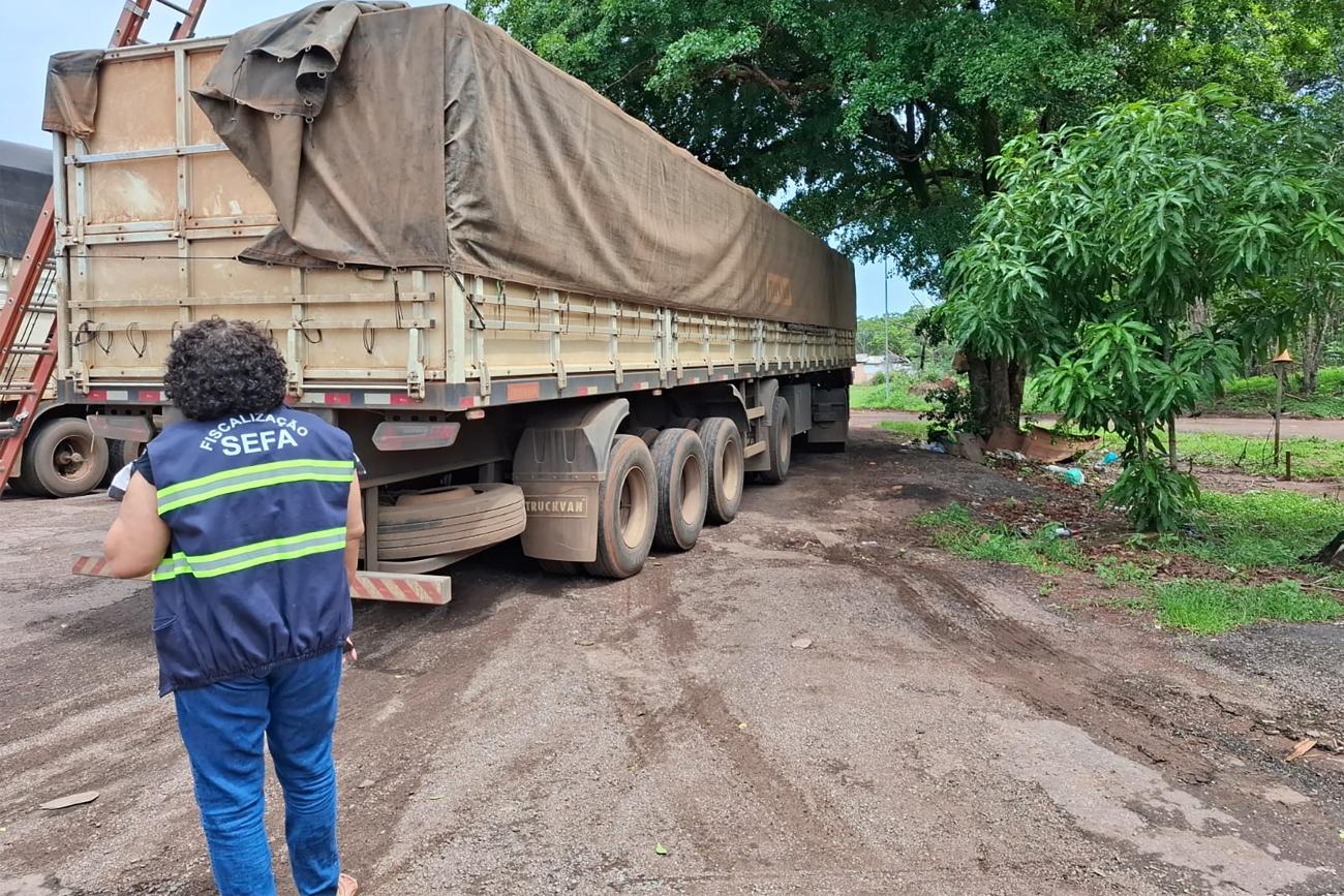 Sefa apreende telhas e vergalhões em Novo Progresso