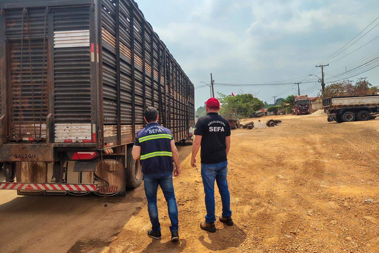 Sefa apreende 100 cabeças de gado em Dom Eliseu
